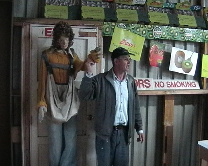 Kiwifruit Country